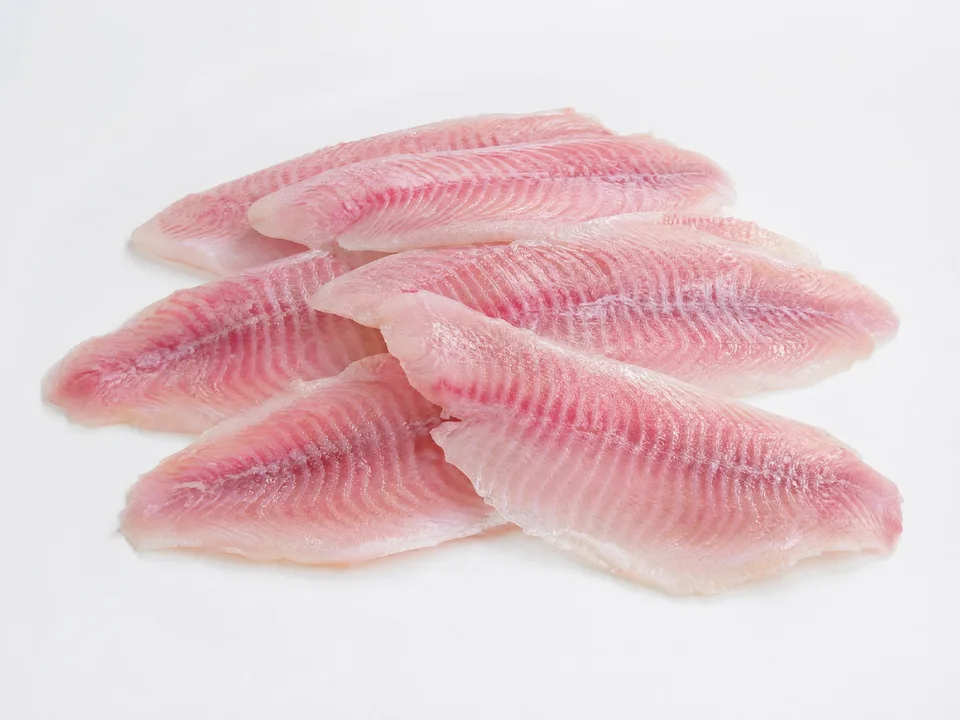 Frozen tilapia fillets