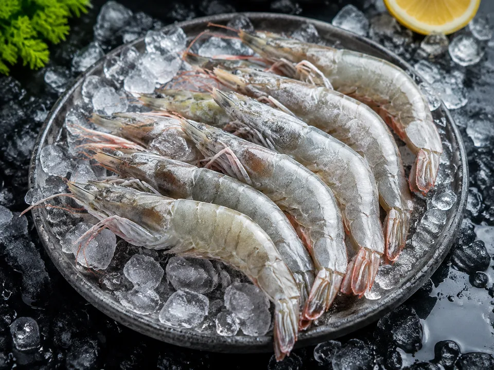 Frozen shrimp displayed on ice